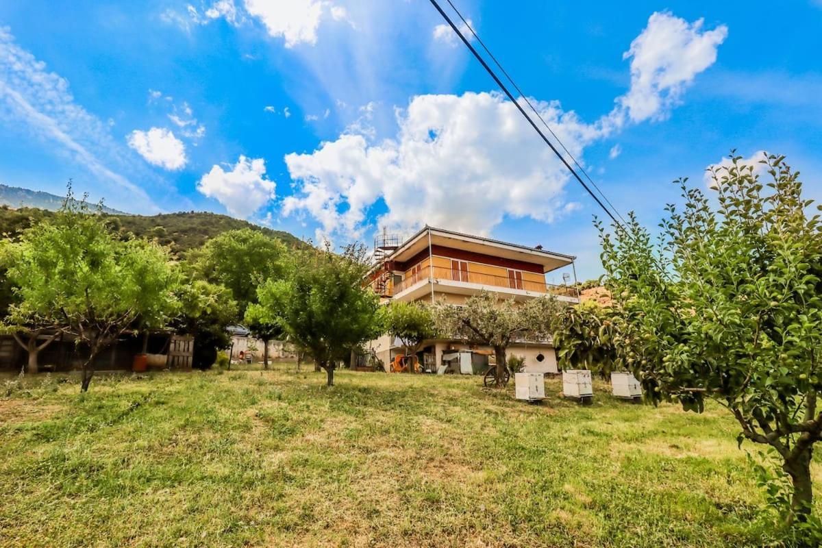 Country Home Genesi 20 Min From Trikala Exteriör bild