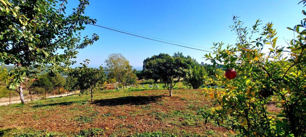 Country Home Genesi 20 Min From Trikala Exteriör bild