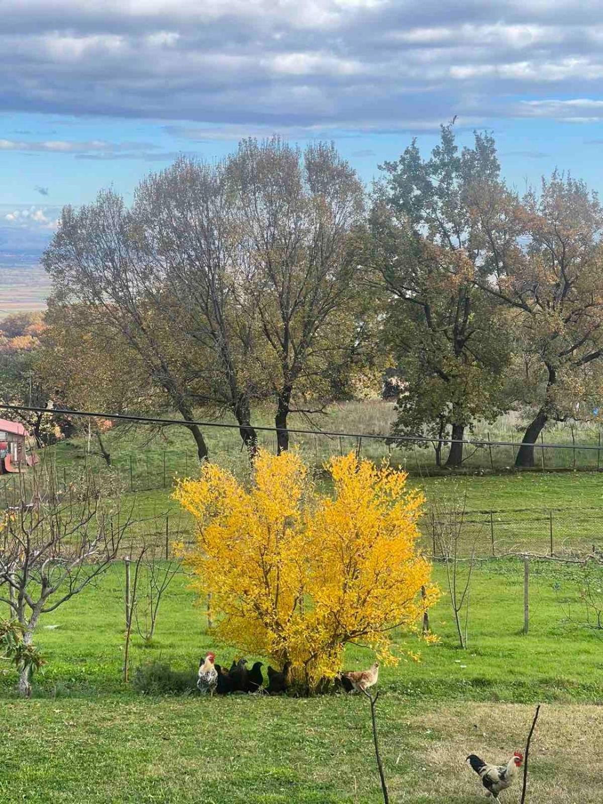 Country Home Genesi 20 Min From Trikala Exteriör bild