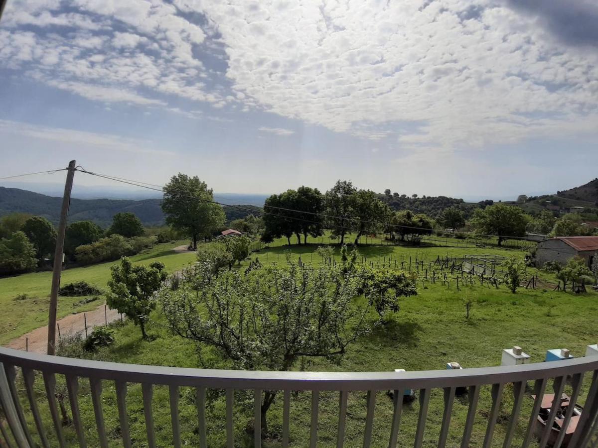 Country Home Genesi 20 Min From Trikala Exteriör bild