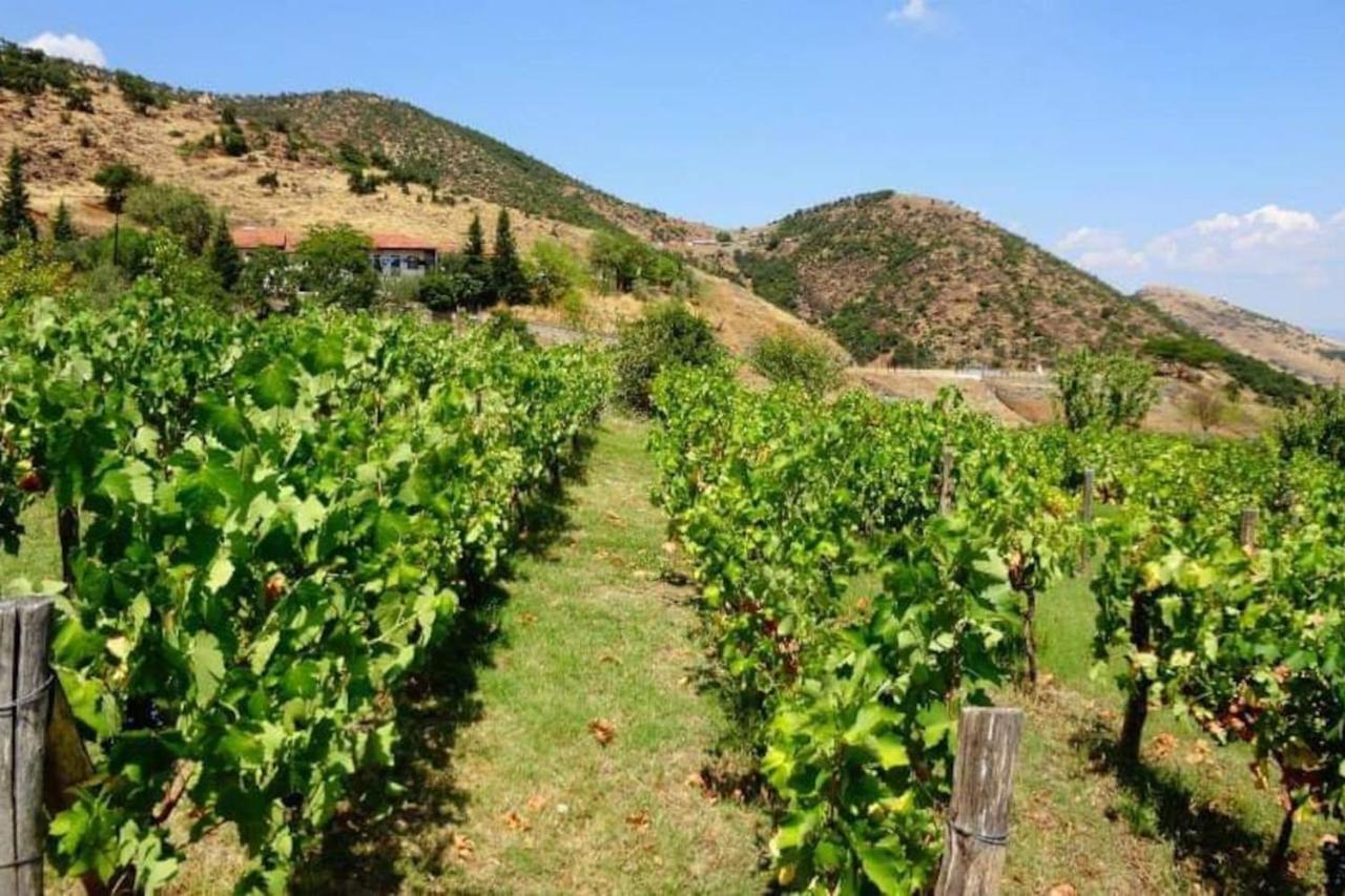 Country Home Genesi 20 Min From Trikala Exteriör bild
