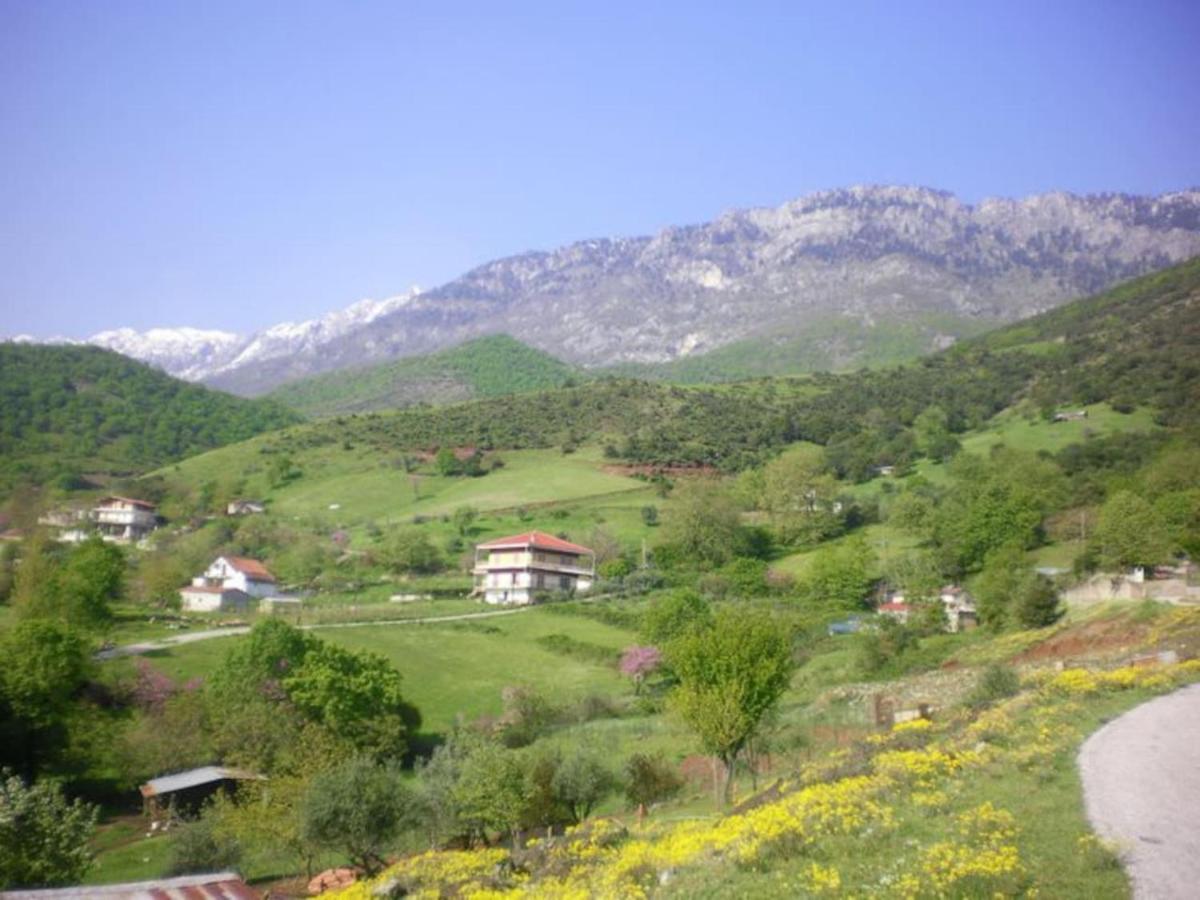 Country Home Genesi 20 Min From Trikala Exteriör bild