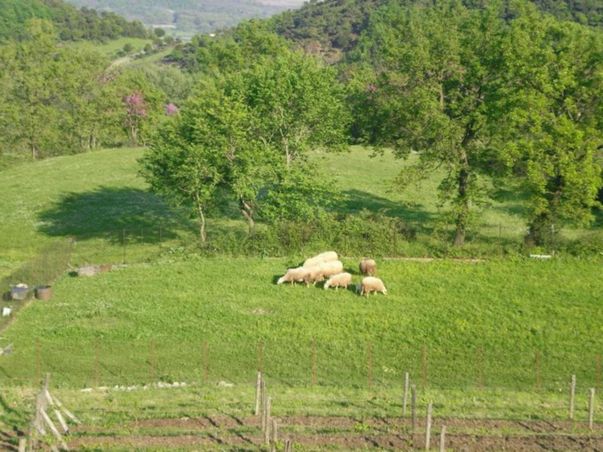 Country Home Genesi 20 Min From Trikala Exteriör bild