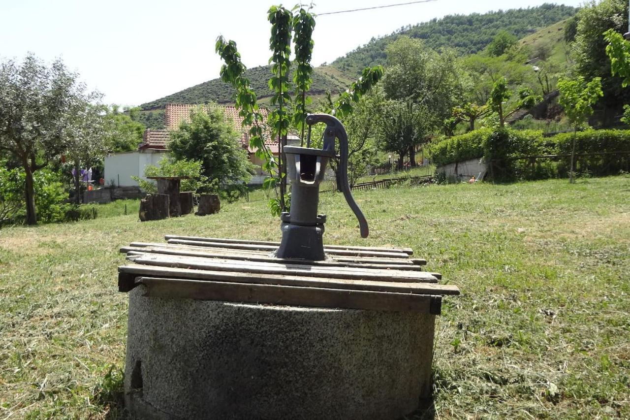 Country Home Genesi 20 Min From Trikala Exteriör bild
