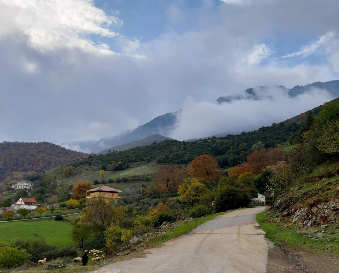 Country Home Genesi 20 Min From Trikala Exteriör bild